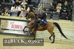 24BUCK_03627 thumbnail