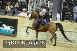 24BUCK_03628 thumbnail