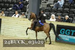 24BUCK_03629 thumbnail