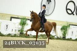 24BUCK_03635 thumbnail
