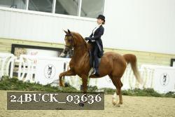 24BUCK_03636 thumbnail