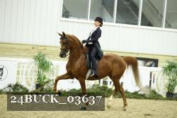 24BUCK_03637 thumbnail