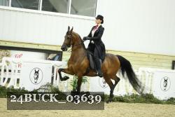 24BUCK_03639 thumbnail