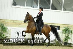 24BUCK_03640 thumbnail