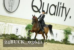 24BUCK_03641 thumbnail