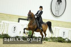 24BUCK_03642 thumbnail