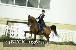 24BUCK_03645 thumbnail
