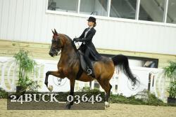 24BUCK_03646 thumbnail
