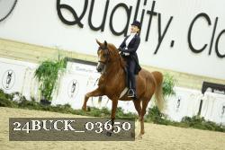 24BUCK_03650 thumbnail