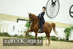24BUCK_03651 thumbnail