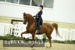 24BUCK_03652 thumbnail