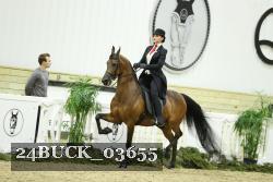 24BUCK_03655 thumbnail