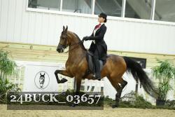 24BUCK_03657 thumbnail