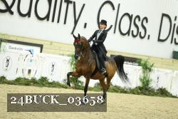 24BUCK_03658 thumbnail