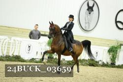 24BUCK_03659 thumbnail
