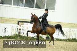 24BUCK_03660 thumbnail