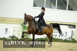 24BUCK_03661 thumbnail