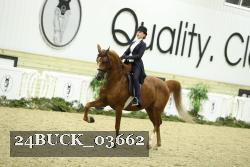 24BUCK_03662 thumbnail