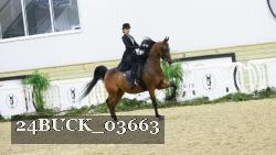 24BUCK_03663 thumbnail