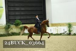 24BUCK_03664 thumbnail