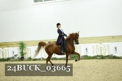 24BUCK_03665 thumbnail