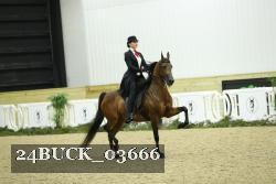 24BUCK_03666 thumbnail