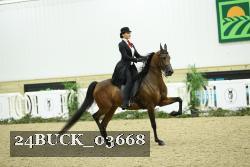 24BUCK_03668 thumbnail