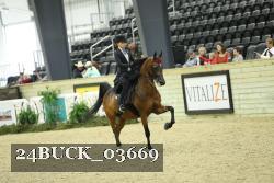 24BUCK_03669 thumbnail
