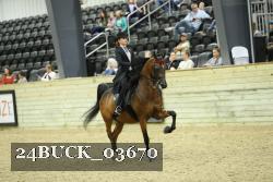 24BUCK_03670 thumbnail