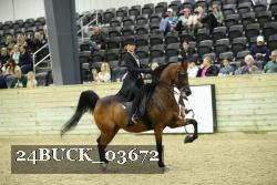 24BUCK_03672 thumbnail