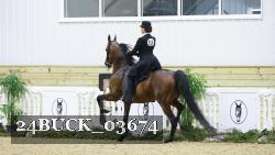 24BUCK_03674 thumbnail