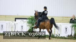 24BUCK_03682 thumbnail