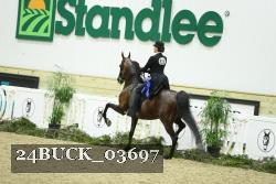 24BUCK_03697 thumbnail