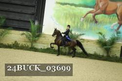 24BUCK_03699 thumbnail