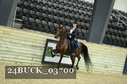 24BUCK_03700 thumbnail