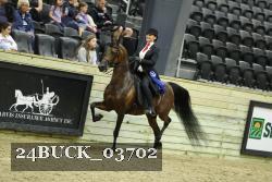 24BUCK_03702 thumbnail