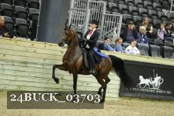 24BUCK_03703 thumbnail