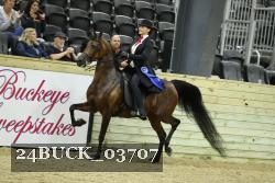 24BUCK_03707 thumbnail