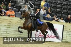 24BUCK_03708 thumbnail
