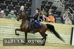 24BUCK_03709 thumbnail