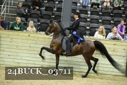 24BUCK_03711 thumbnail