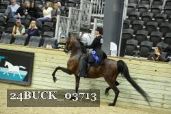 24BUCK_03713 thumbnail