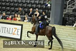 24BUCK_03714 thumbnail