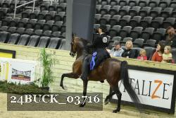 24BUCK_03716 thumbnail