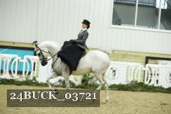 24BUCK_03721 thumbnail