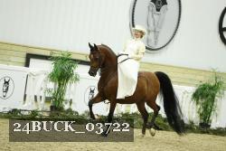 24BUCK_03722 thumbnail