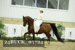 24BUCK_03724 thumbnail