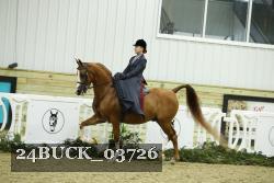 24BUCK_03726 thumbnail