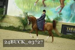 24BUCK_03727 thumbnail