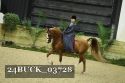 24BUCK_03728 thumbnail